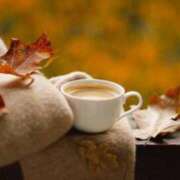 ヒメ日記 2025/11/19 09:48 投稿 あいり奥様 金沢の20代30代40代50代が集う人妻倶楽部