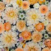 あいり奥様 ♡ 金沢の20代30代40代50代が集う人妻倶楽部