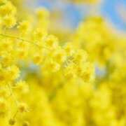 ヒメ日記 2026/03/10 10:12 投稿 あいり奥様 金沢の20代30代40代50代が集う人妻倶楽部