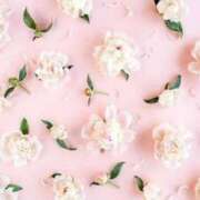 ヒメ日記 2026/03/20 12:13 投稿 あいり奥様 金沢の20代30代40代50代が集う人妻倶楽部