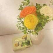 ヒメ日記 2026/04/27 00:52 投稿 まさみ スピードエコ難波店