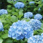 ヒメ日記 2026/06/14 22:11 投稿 まさみ スピードエコ難波店
