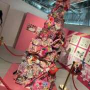 ヒメ日記 2025/08/02 12:52 投稿 ヤヤ 千葉美女革命