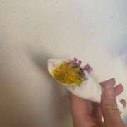 ヒメ日記 2025/08/24 10:43 投稿 ヤヤ 千葉美女革命