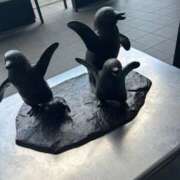 ヒメ日記 2025/09/01 10:41 投稿 ヤヤ 千葉美女革命