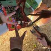 ヒメ日記 2025/09/28 14:31 投稿 ヤヤ 千葉美女革命