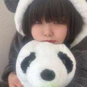 ヒメ日記 2025/09/29 21:31 投稿 ヤヤ 千葉美女革命