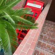 ヒメ日記 2025/10/04 10:21 投稿 ヤヤ 千葉美女革命