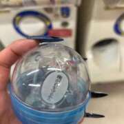 ヒメ日記 2025/11/06 17:01 投稿 ヤヤ 千葉美女革命