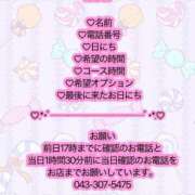 ヒメ日記 2025/12/19 09:01 投稿 ヤヤ 千葉美女革命