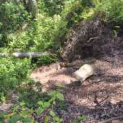 ヒメ日記 2025/07/29 11:05 投稿 りょう［神奈川］ 奥鉄オクテツ東京店（デリヘル市場）