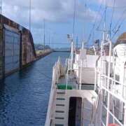 ヒメ日記 2026/04/02 16:31 投稿 りょう［神奈川］ 奥鉄オクテツ東京店（デリヘル市場）