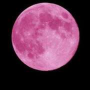 ヒメ日記 2026/04/02 20:52 投稿 りょう［神奈川］ 奥鉄オクテツ東京店（デリヘル市場）