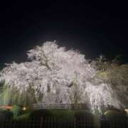 ヒメ日記 2026/04/03 08:18 投稿 りょう［神奈川］ 奥鉄オクテツ東京店（デリヘル市場）