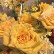 ヒメ日記 2025/09/29 20:18 投稿 琴宮おと 五十路マダム富山店(カサブランカグループ)