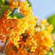 ヒメ日記 2025/09/14 09:17 投稿 新人みき ミスミセス