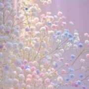 ヒメ日記 2025/10/27 08:27 投稿 新人みき ミスミセス