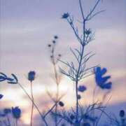 ヒメ日記 2025/11/09 10:07 投稿 新人みき ミスミセス