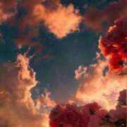 新人みき 昨日のお礼🙇‍♀️,, ミスミセス