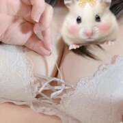 ヒメ日記 2025/07/20 22:32 投稿 まな 丸妻 横浜本店