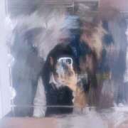 ヒメ日記 2025/10/12 18:19 投稿 猫田　つな 寝取り×制服 義理義理な女学園