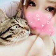 ヒメ日記 2025/08/03 12:04 投稿 あいり トマトなび