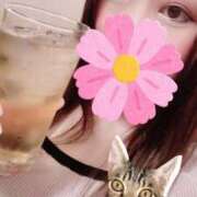 ヒメ日記 2025/08/21 12:02 投稿 あいり トマトなび