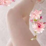 ヒメ日記 2025/09/29 12:44 投稿 あいり トマトなび