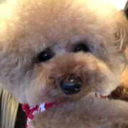 ヒメ日記 2025/07/26 07:44 投稿 くるみ Love Life(ラブライフ) 池袋店