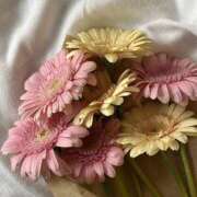 ヒメ日記 2025/08/30 09:33 投稿 Kurumi【くるみ】 Club Lumine(中津)