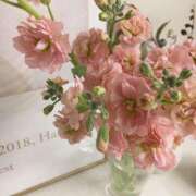 ヒメ日記 2026/02/04 20:56 投稿 Kurumi【くるみ】 Club Lumine(中津)