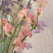 ヒメ日記 2026/02/19 21:53 投稿 Kurumi【くるみ】 Club Lumine(中津)