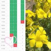 ヒメ日記 2026/03/23 04:48 投稿 Kurumi【くるみ】 Club Lumine(中津)