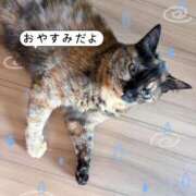 ヒメ日記 2026/05/22 03:53 投稿 Kurumi【くるみ】 Club Lumine(中津)