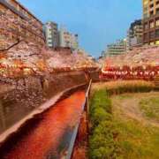 ヒメ日記 2026/04/11 16:31 投稿 ゆい アクトレス池袋店(ユメオト)