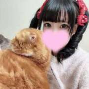 ヒメ日記 2025/11/21 20:54 投稿 ころも マリン宮殿水戸店