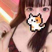 ヒメ日記 2025/11/25 12:34 投稿 ころも マリン宮殿水戸店