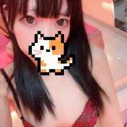 ヒメ日記 2025/11/27 13:34 投稿 ころも マリン宮殿水戸店