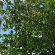 ヒメ日記 2025/07/25 07:43 投稿 胡桃(くるみ) 高知デリヘル倶楽部 人妻熟女専門店