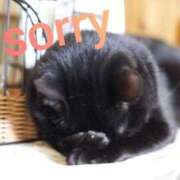 ヒメ日記 2025/11/08 15:22 投稿 なつき 熟女の風俗最終章 宇都宮店