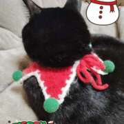 ヒメ日記 2025/12/25 18:11 投稿 なつき 熟女の風俗最終章 宇都宮店