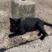 ヒメ日記 2025/08/08 10:16 投稿 美原星子 五十路マダム　広島店