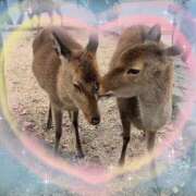 ヒメ日記 2025/11/10 11:42 投稿 美原星子 五十路マダム　広島店