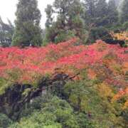 ヒメ日記 2025/11/11 17:30 投稿 美原星子 五十路マダム　広島店