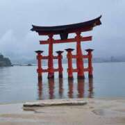 ヒメ日記 2025/11/12 11:34 投稿 美原星子 五十路マダム　広島店