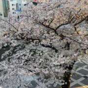 ヒメ日記 2026/03/29 09:54 投稿 美原星子 五十路マダム　広島店