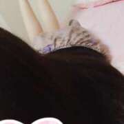 ヒメ日記 2025/09/13 12:03 投稿 かんな 多恋人倶楽部（山口）