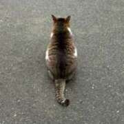 ヒメ日記 2025/09/16 15:13 投稿 このは 2980円