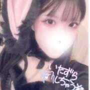 ヒメ日記 2025/10/12 01:43 投稿 このは 2980円