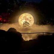 ヒメ日記 2026/02/01 20:13 投稿 このは 2980円